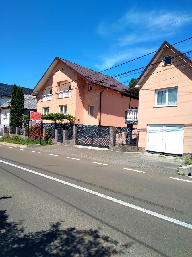 casa anca Hotel Sighetu Marmaţiei Exterior foto